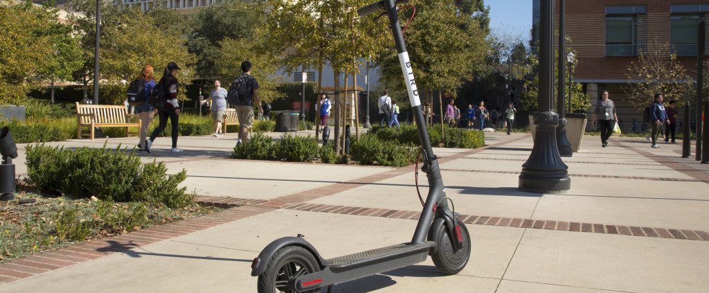 Bird Scooter at UCLA